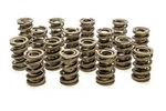 Racing Springs 1.539 Dual Valve (16) PAC-1227-16. Fixed Price $433.49.