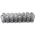 Racing Springs 1.290 Valve Ovate Beehive (16)- PAC-1218X-16. Fixed Price $346.02.