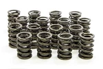 Isky Racing Cams 9365SP Series High Endurance Dual Valve Spring. Fixed Price $391.99.
