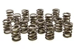 Racing Springs Valve Hr Series (16) PAC-1900-16. Fixed Price $159.95.