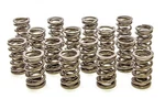 Racing Springs 1.550 Dual Valve (16)- PAC-1245-16. Fixed Price $422.21.