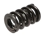 Racing 1200 Series Valve Spring PAC-1225-16. Fixed Price $378.00.