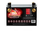 Battery Fullriver 11SPVN15 Ford Taurus 1989 1990 1991 1992 1993 1994 1995. Fixed Price $506.42.