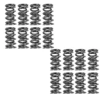 Brian Tooley Racing SK001 545 Bb Valve Spring Kit Platinum Dual. Fixed Price $319.99.