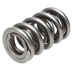 Racing 1300 Series Circle Track Valve Springs PAC-1325-16. Fixed Price $567.00.