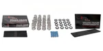 Brian Tooley Racing Btr SK017 Valve Springs W/ Pushrods For 2009+ Hemi 5.7L. Fixed Price $419.95.