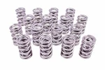 Racing Springs 1.574 Dual Valve Circle Track PAC-1396-16. Fixed Price $614.00.