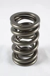 Racing 1200 Series Circle Track Valve Springs PAC-1243-16. Fixed Price $378.00.