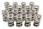 Racing Springs 1.514 Dual Valve (16) PAC-1331-16. Fixed Price $612.90.