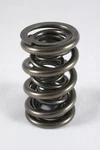 Racing 1200 Series Drag Race Valve Springs PAC-1258-16. Fixed Price $465.30.