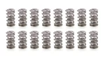 Racing Springs 1.430 Dual Valve (16)- PAC-1373-16. Fixed Price $649.47.